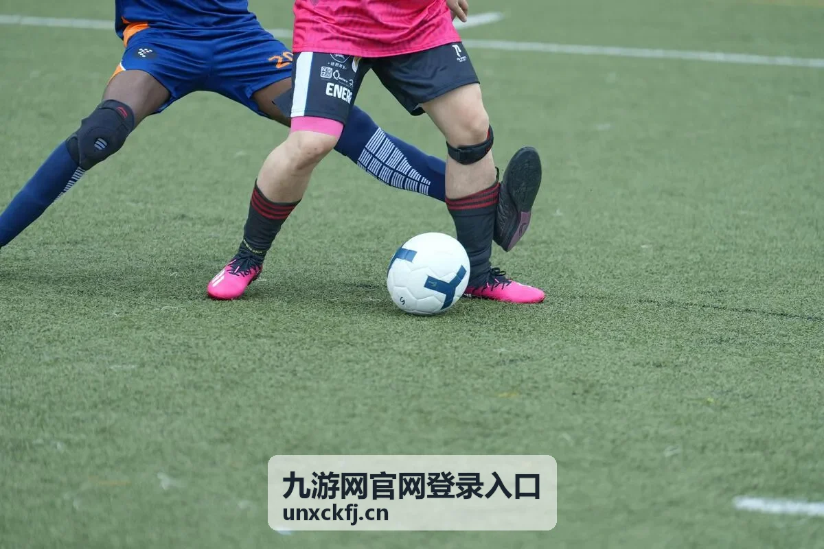 九游网官网登录入口常用设备固定入口设置
